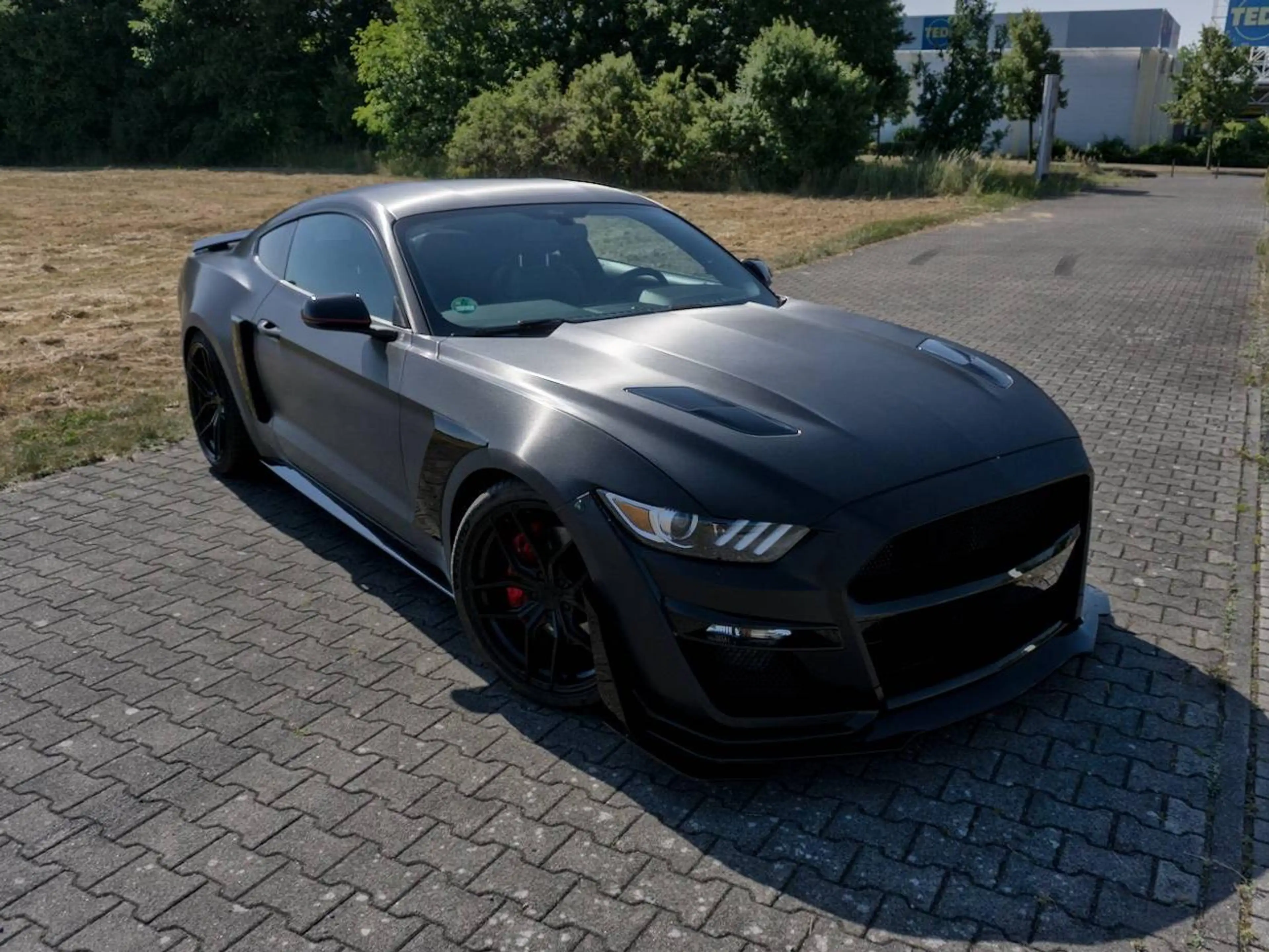 Ford Mustang Mustang 5.0 V8 GT California Special — photo 4