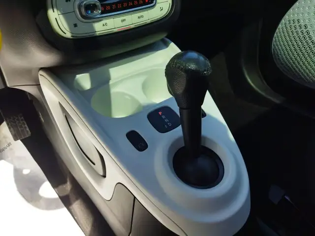 Smart Forfour view 8