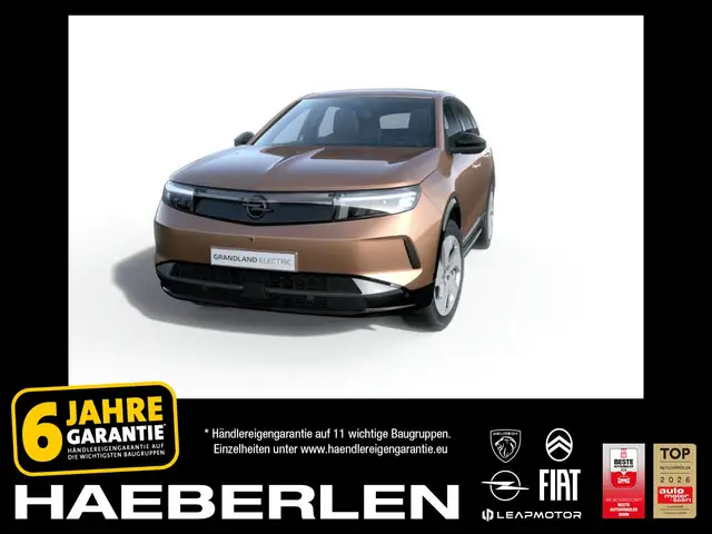 Opel Grandland Electric Edition 73 kWh Batterie
