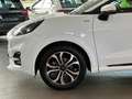 Ford Puma ST-Line #AUTOMATIK #ACC #RFK #LED #HYBRID Weiß - thumbnail 9