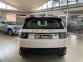 Land Rover Discovery Sport 2.0 td4 awd 150cv auto Wit - thumbnail 5