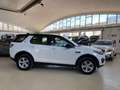 Land Rover Discovery Sport 2.0 td4 awd 150cv auto Wit - thumbnail 4