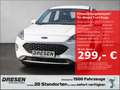 Ford Kuga Cool&Connect 2.5 Duratec PHEV Navi/PDC/Winterpaket Weiß - thumbnail 1