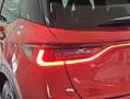 Lexus LBX 1.5 136cv HEV Cool+ Rojo - thumbnail 29