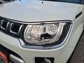 Suzuki Ignis 1.2 DJ HYBRID SHINE TOP Zustand, s. w. KM Blanc - thumbnail 4