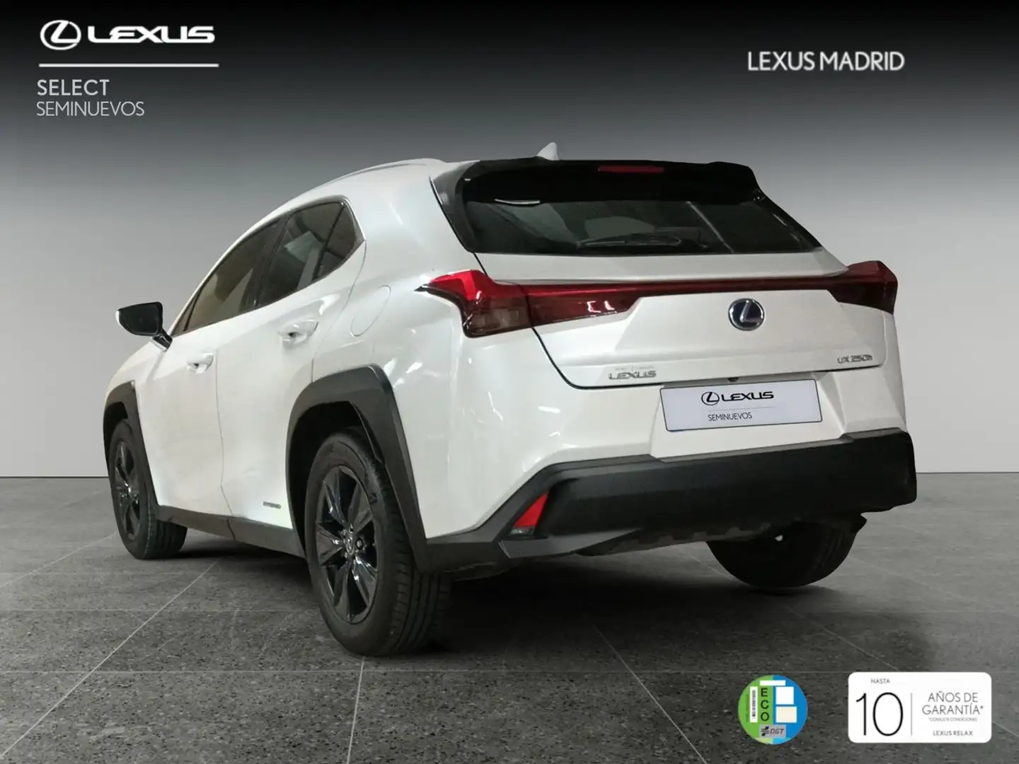 Lexus UX 250h 2.0 Business Blanco - 2
