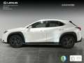 Lexus UX 250h 2.0 Business Blanco - thumbnail 3