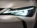 Lexus UX 250h 2.0 Business Blanco - thumbnail 23