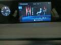 Lexus UX 250h 2.0 Business Blanco - thumbnail 19