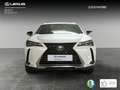 Lexus UX 250h 2.0 Business Blanco - thumbnail 5