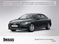 Audi A4 30 TDI 100(136) kW(PS) S tronic Grau - thumbnail 1
