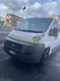Fiat Ducato 2.3 multijet trasporto disabili - thumbnail 12