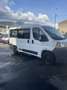 Fiat Ducato 2.3 multijet trasporto disabili - thumbnail 10