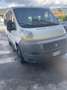 Fiat Ducato 2.3 multijet trasporto disabili - thumbnail 11