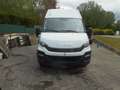 Iveco Daily Wit - thumbnail 2