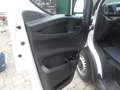 Iveco Daily Wit - thumbnail 10