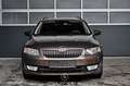 Skoda Octavia 1.6 TDI DPF Ambition Green tec Pickerl NEU Brązowy - thumbnail 3