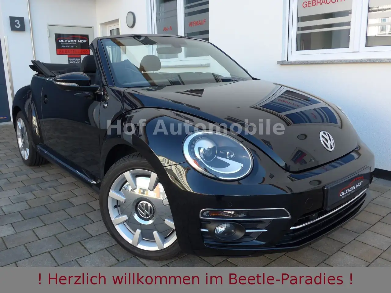 Volkswagen Beetle