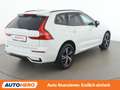 Volvo XC60 2.0 T6 Twin Engine Recharge Plug-in R Design AWD Weiß - thumbnail 6