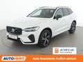 Volvo XC60 2.0 T6 Twin Engine Recharge Plug-in R Design AWD Weiß - thumbnail 1