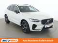 Volvo XC60 2.0 T6 Twin Engine Recharge Plug-in R Design AWD Weiß - thumbnail 8