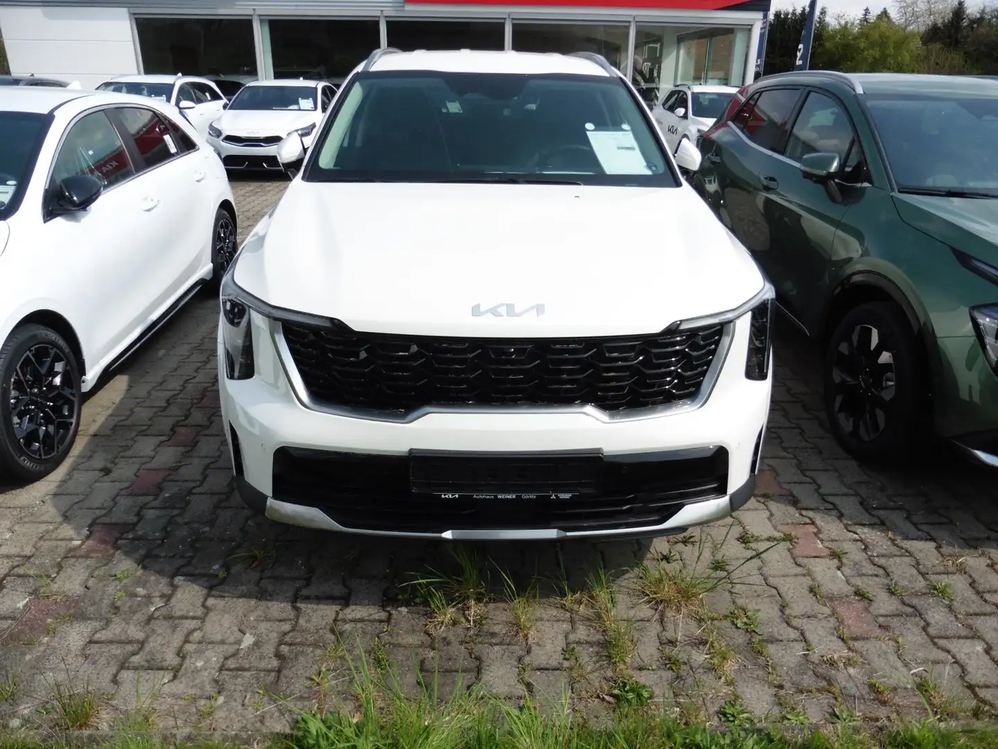 Kia Sorento 1,6T HEV, Spirit, Drive, 360°Kamera Blanco - 2