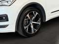 SEAT Tarraco 2,0 TDI FR-Line 4Drive ab ca. 267€ monatlich Weiß - thumbnail 13