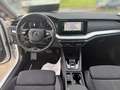 Skoda Octavia Combi 2.0 TDI DSG STYLE +AHK +LED +ACC +RKAM +HuD Weiß - thumbnail 10