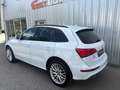 Audi Q5 3,0 TDI quattro clean Diesel Sport S-tronic Weiß - thumbnail 4