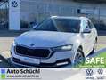 Skoda Octavia Combi 2.0 TDI DSG Style NAVI-COLUMBUS+LE Weiß - thumbnail 1