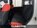 Fiat New Panda Panda 1.2 Pop Weiß - thumbnail 5