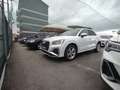 Audi Q2 Q2 30 2.0 tdi Bianco - thumbnail 13