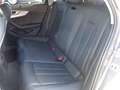 Audi A4 allroad 40 2.0 tdi mhev Business quattro 204cv s-tronic - thumbnail 13