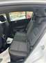 Kia Sportage 2021 1.6 crdi mhev Business Class 2wd 136cv dct Bianco - thumbnail 14