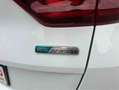 Kia Sportage 2021 1.6 crdi mhev Business Class 2wd 136cv dct Bianco - thumbnail 10