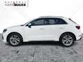 Audi Q3 S line TDI S tronic Navi AHK ACC TopView LED Weiß - thumbnail 6