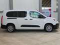 Fiat Doblo Doblò 1.5 BlueHdi 130 CV AT8 PL Maxi Weiß - thumbnail 8