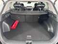 Kia Sportage 1,6 TGDI Gold/DTC7/2WD/150/MY26|Stahl Wien 22 Weiß - thumbnail 11
