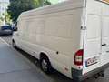 Mercedes-Benz Sprinter Sprinter 313 CDI HD 3,5 t/4.025 mm Weiß - thumbnail 4