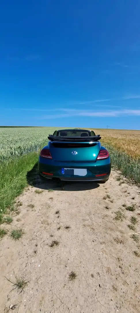 Volkswagen Beetle Cabriolet SOUND 1,4 TSI Vert - 2