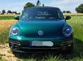Volkswagen Beetle Cabriolet SOUND 1,4 TSI Vert - thumbnail 3