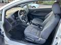 Kia Rio 1.2 CVVT Plus Pack 3 deurs airco keurige auto Wit - thumbnail 13