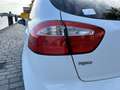 Kia Rio 1.2 CVVT Plus Pack 3 deurs airco keurige auto Wit - thumbnail 41