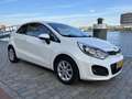 Kia Rio 1.2 CVVT Plus Pack 3 deurs airco keurige auto Wit - thumbnail 4
