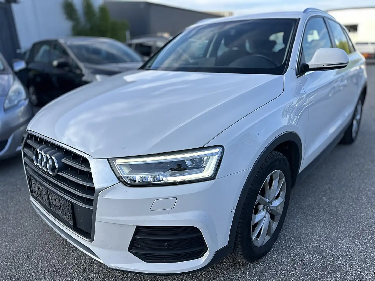 Audi Q3 2,0 TDI Weiß - 1