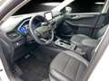 Ford Kuga 2.5 Titanium X Aut./LED/ACC/KAMERA/PANO/AHK White - thumbnail 10