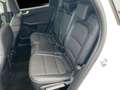 Ford Kuga 2.5 Titanium X Aut./LED/ACC/KAMERA/PANO/AHK White - thumbnail 11