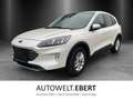 Ford Kuga 2.5 Titanium X Aut./LED/ACC/KAMERA/PANO/AHK White - thumbnail 1