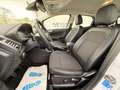 Ford EcoSport EcoSport 1.0 EcoBoost Titanium  *SHZ*PDC *LENKRADH Weiß - thumbnail 12