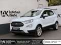 Ford EcoSport EcoSport 1.0 EcoBoost Titanium  *SHZ*PDC *LENKRADH Weiß - thumbnail 1